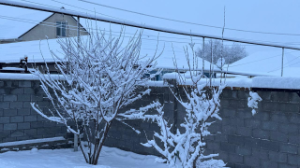 Аяз, боран, бұрқасын