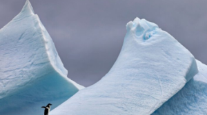 Мұздықтардың еруі тәулікті ұзартатыны белгілі болды