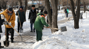 «Қар тазалаушы» қариялар