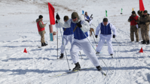 Бәйгеде бағы жанғандар