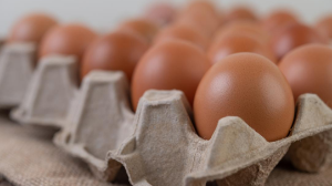 Жұмыртқа бағасы тұрақтанады