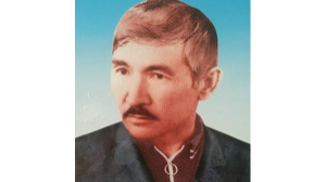 ЖЕҢІС ЖАУЫНГЕРІ  небәрі он жеті жасында соғысқа аттанып, талай ерлік көрсеткен Тоқаш Бердияров есімі неге елеусіз қалып барады?