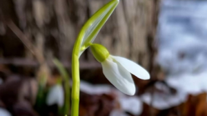 Бүгін Қазақстанның басым бөлігінде құрғақ ауа райы сақталады
