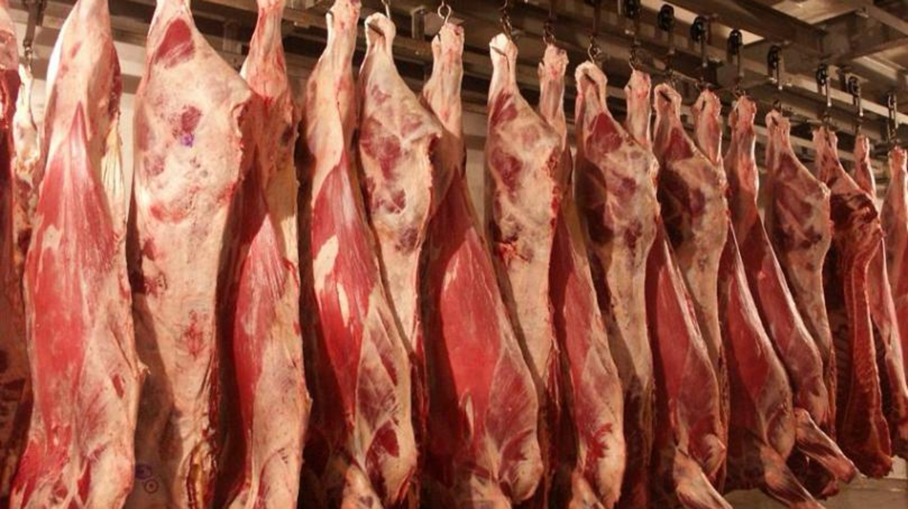 2025 жылдың қаңтар айында ет өндірісінің өсімі 5,2%-ды құрады