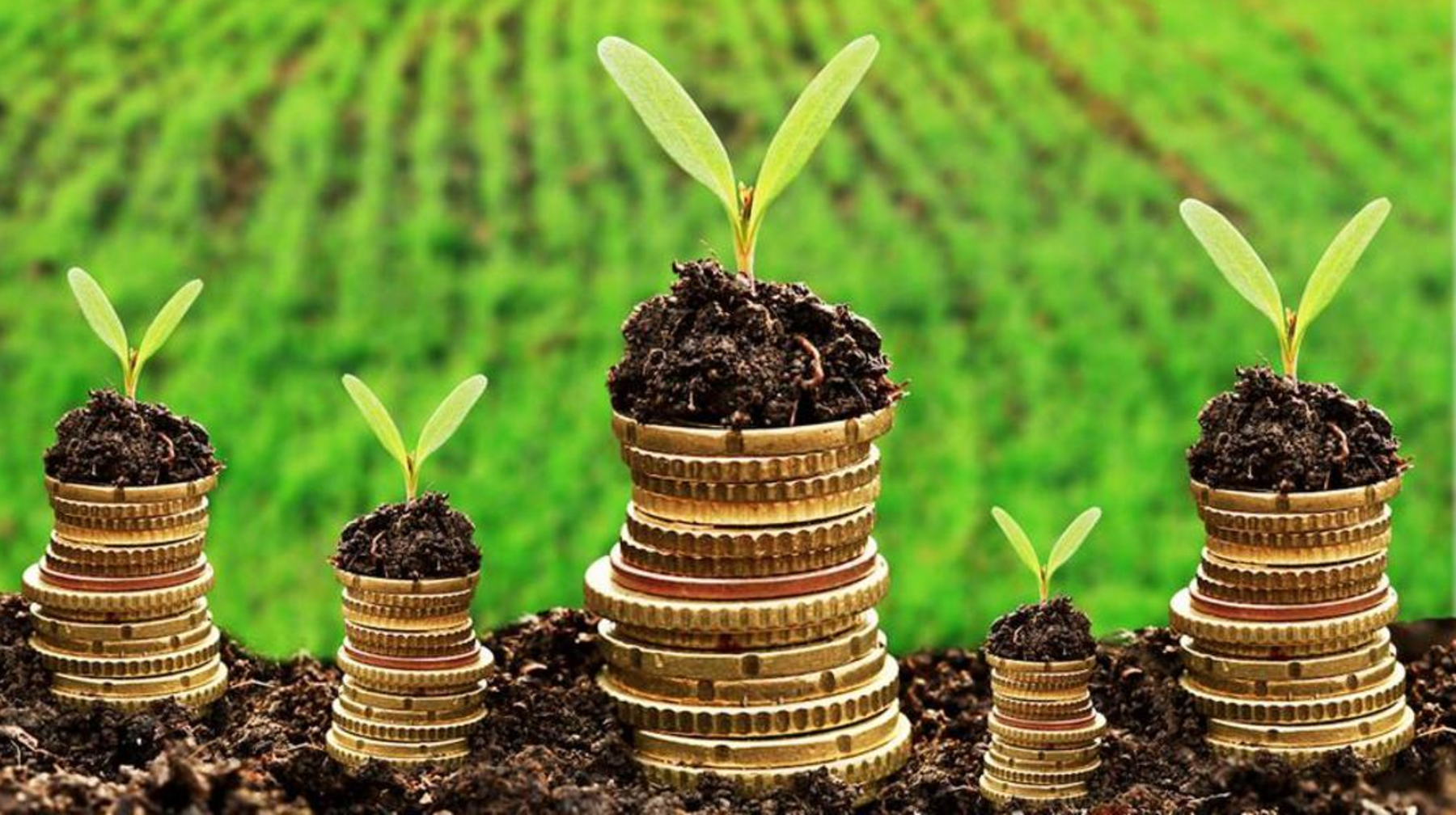 Қазақстан соңғы 6 жылда АӨК-ні қалай дамытуда?