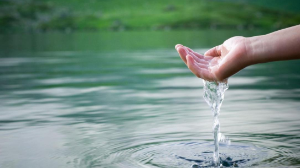 Қазақстанда «Таза су айдындары» табиғатты қорғау акциясы басталады