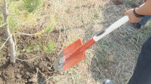 «ALMATY CLEAN&GREEN»:  Наурызбай ауданында «Тазару күнінде» ерекше эко-ация өтті