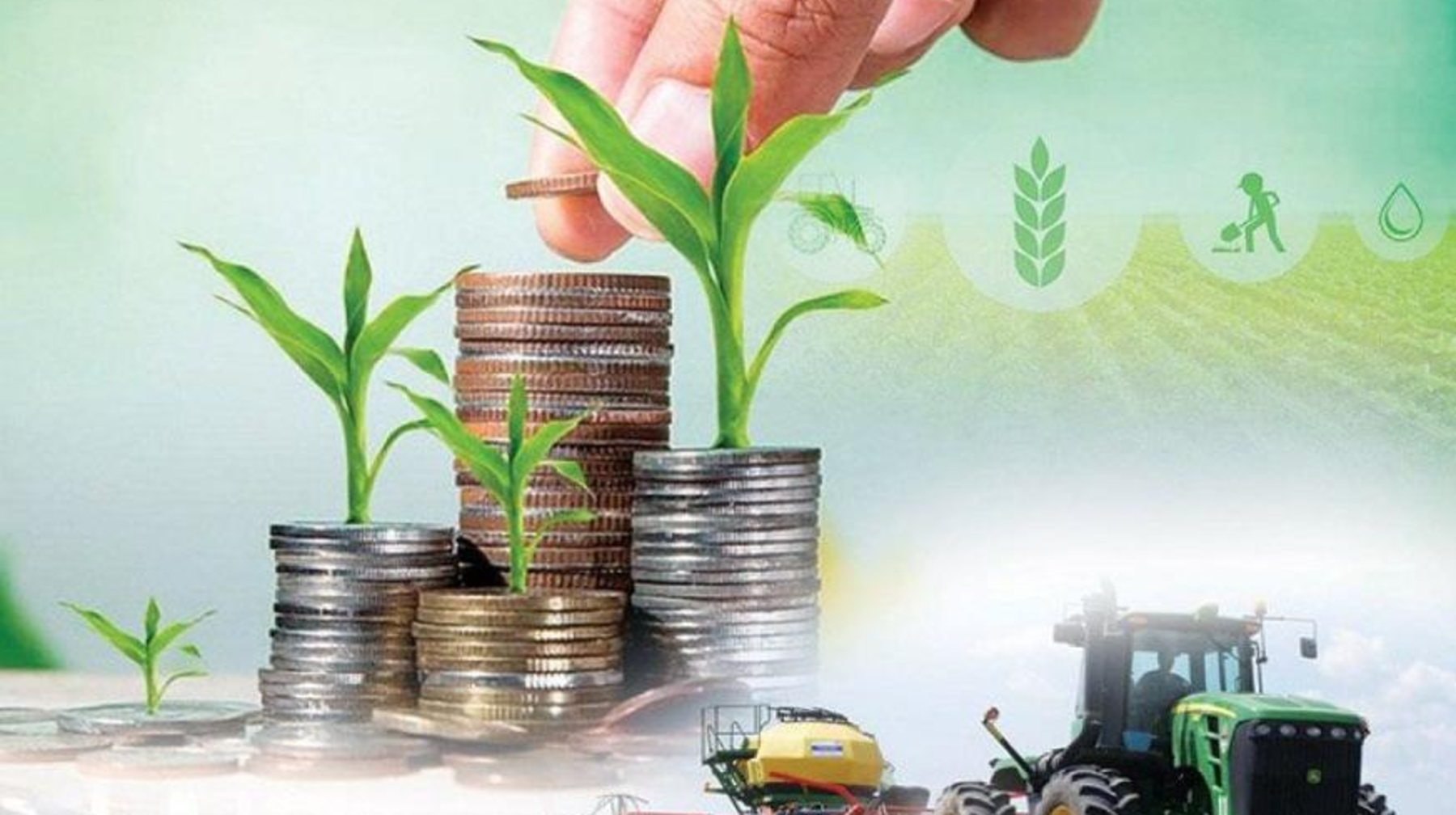 2,5% несиелер: «Ауыл аманаты» бағдарламасы ауыл тұрғындарының әл-ауқатын арттыруға қалай көмектеседі