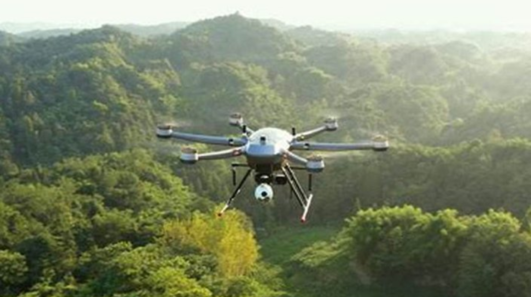 Қытайда бір тұрғынға шаққанда 100-ге жуық ағаштан келеді