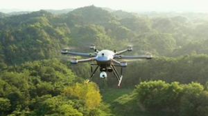 ШҚО ормандары: Министр орман қорын қалпына келтіру жұмысын бақылап қайтты