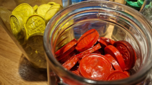 Алматыда «Бизнестегі пластиксіз күн» акциясы өтті