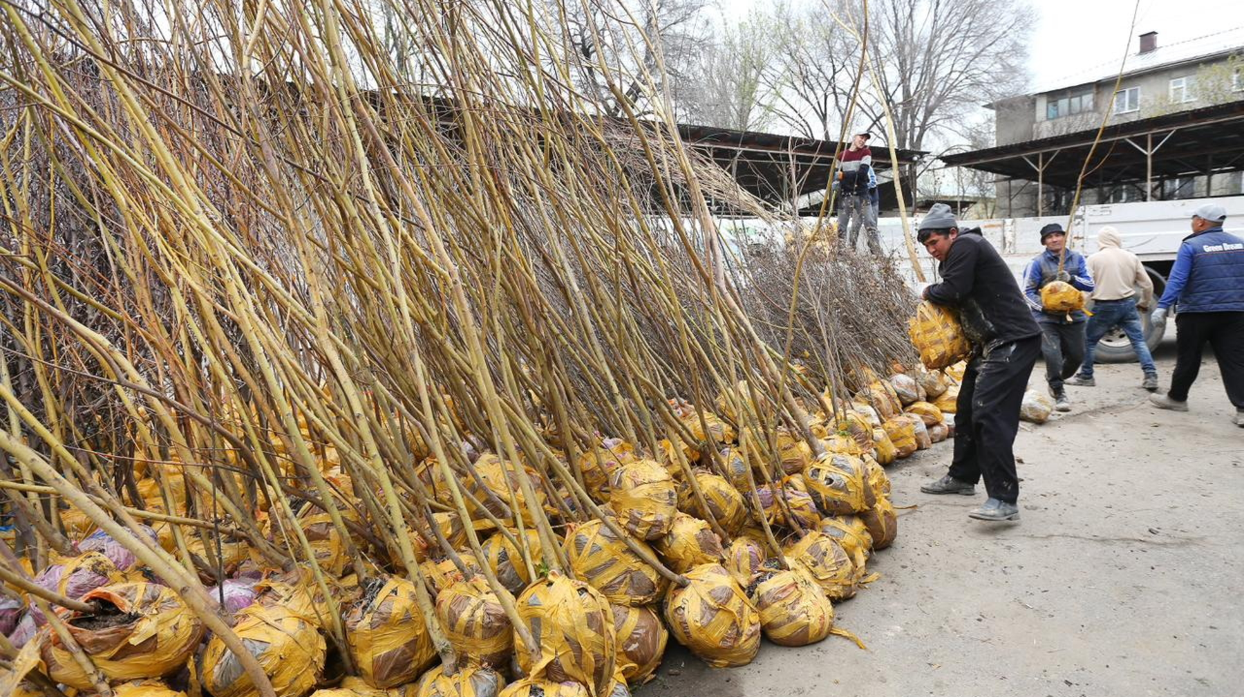 Алматыда  «Жасыл аула» акциясы басталады