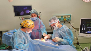 Алматыдағы  № 2 балалар клиникалық ауруханасы 2024 жылғы рейтингте көш бастады