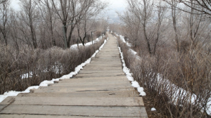 Ғажап серуендеу: алматылықтар «Көк-Төбедегі» жаңа жолды бағалады