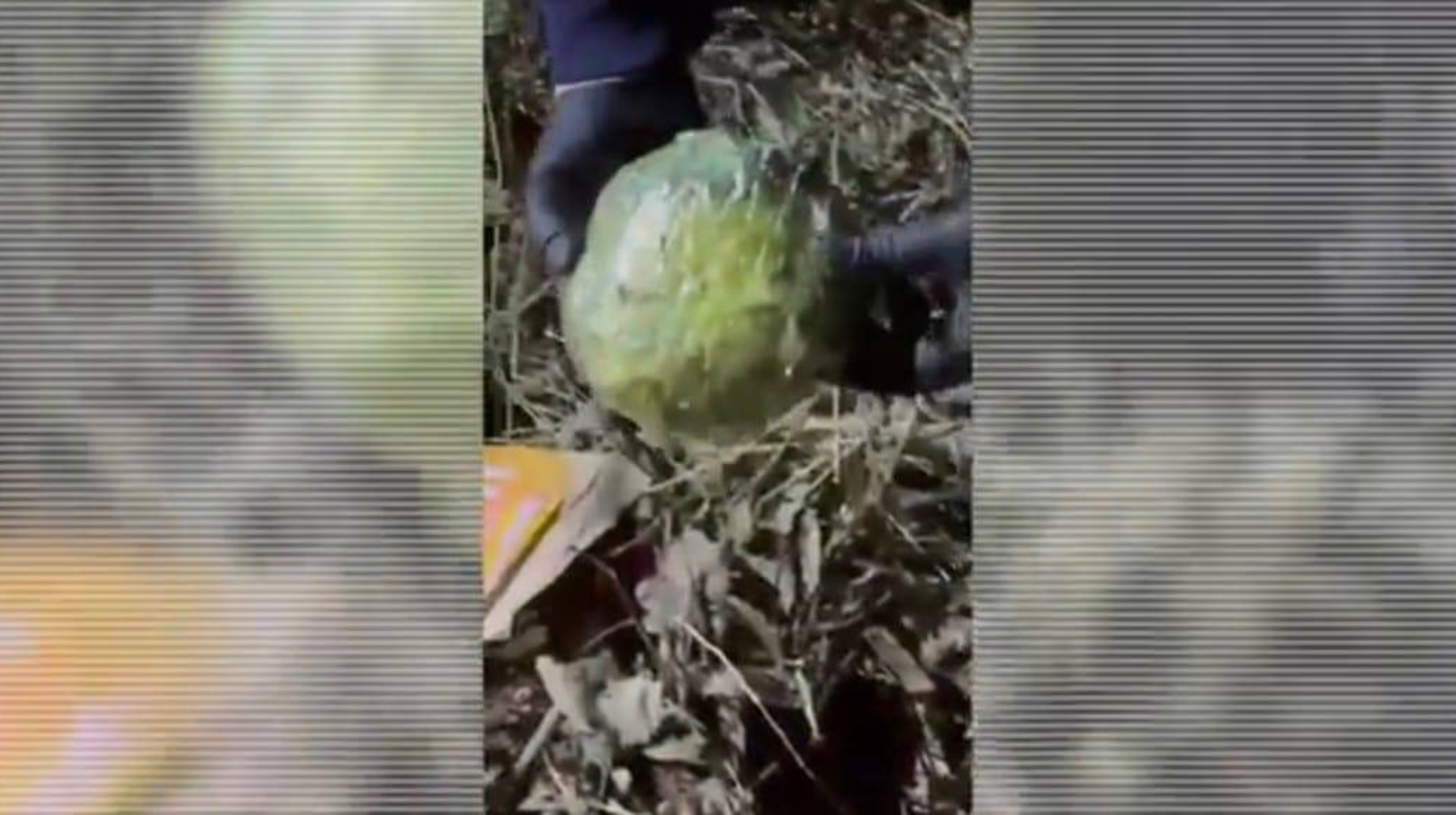 Алматыда синтетикалық есірткінің ірі партиясы тәркіленді 