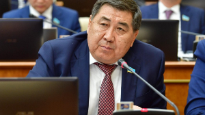 Депутат мемлекеттік тудың маркетплейстерде сатылуына қарсылық білдірді