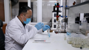 ҚазҰУ ғалымы өсімдіктің түрлі ауруға қарсы белсенділігін анықтады