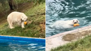 Алматыда жабайы табиғатты қалай тамашалауға болады?