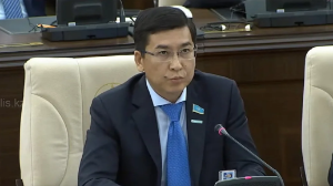 Қазақша мультфильмдер аз — ал салық көп