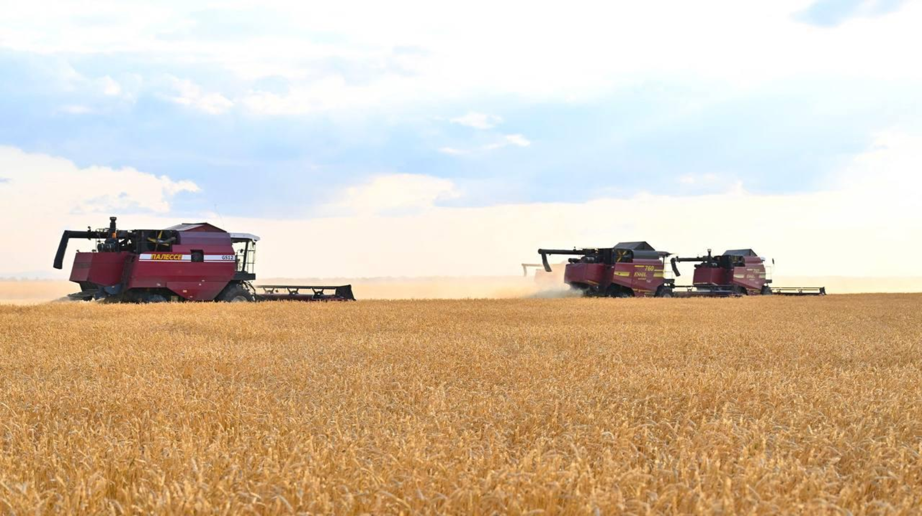 Үкімет еліміздің астық саласын қолдауға 40 млрд теңге бөлді