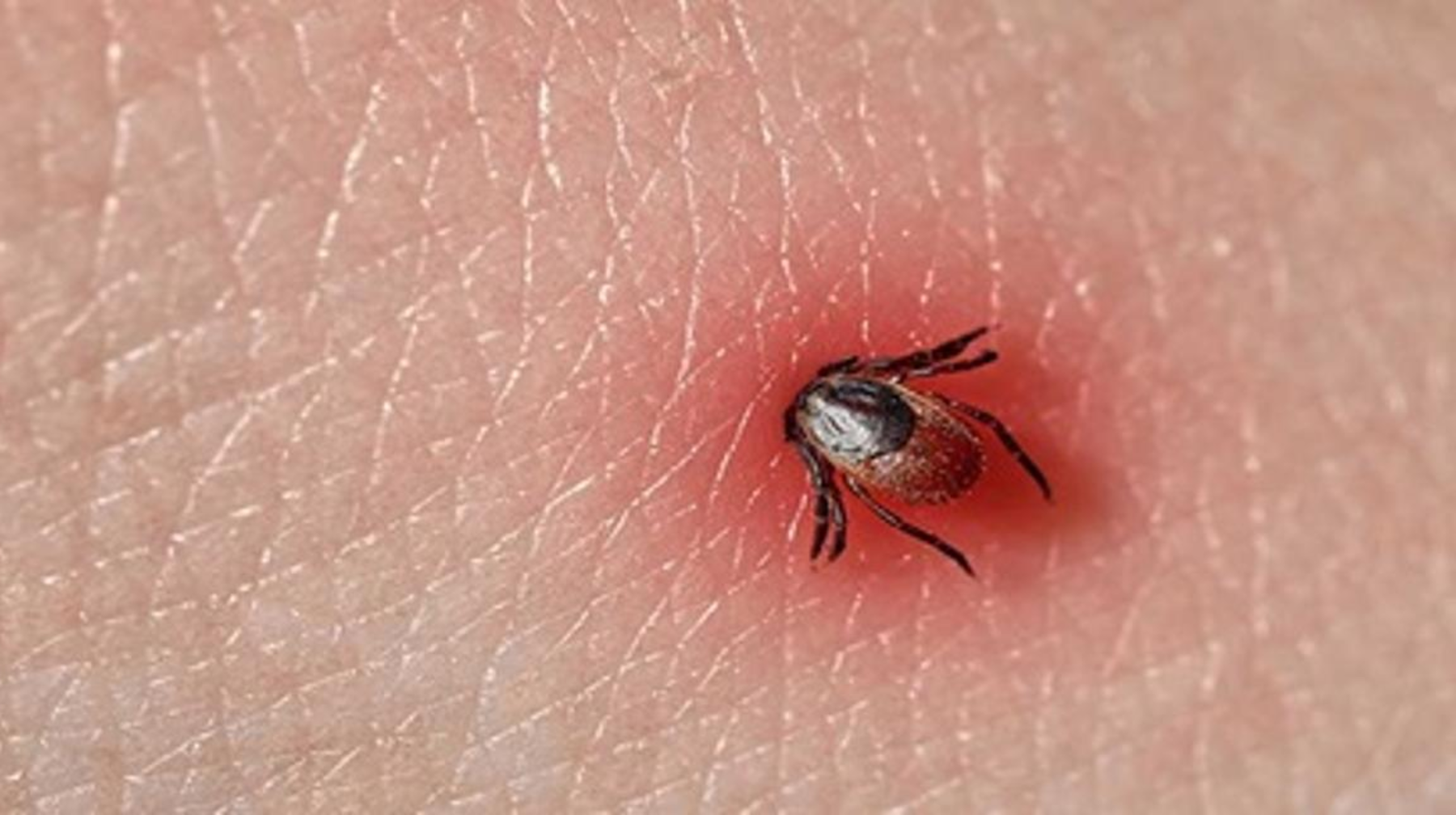 Кененің "күшейетін" кезі келді