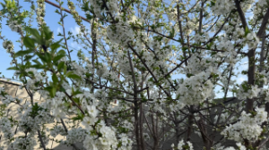 Қазгидромет Алматы тұрғындарына ескерту жасады