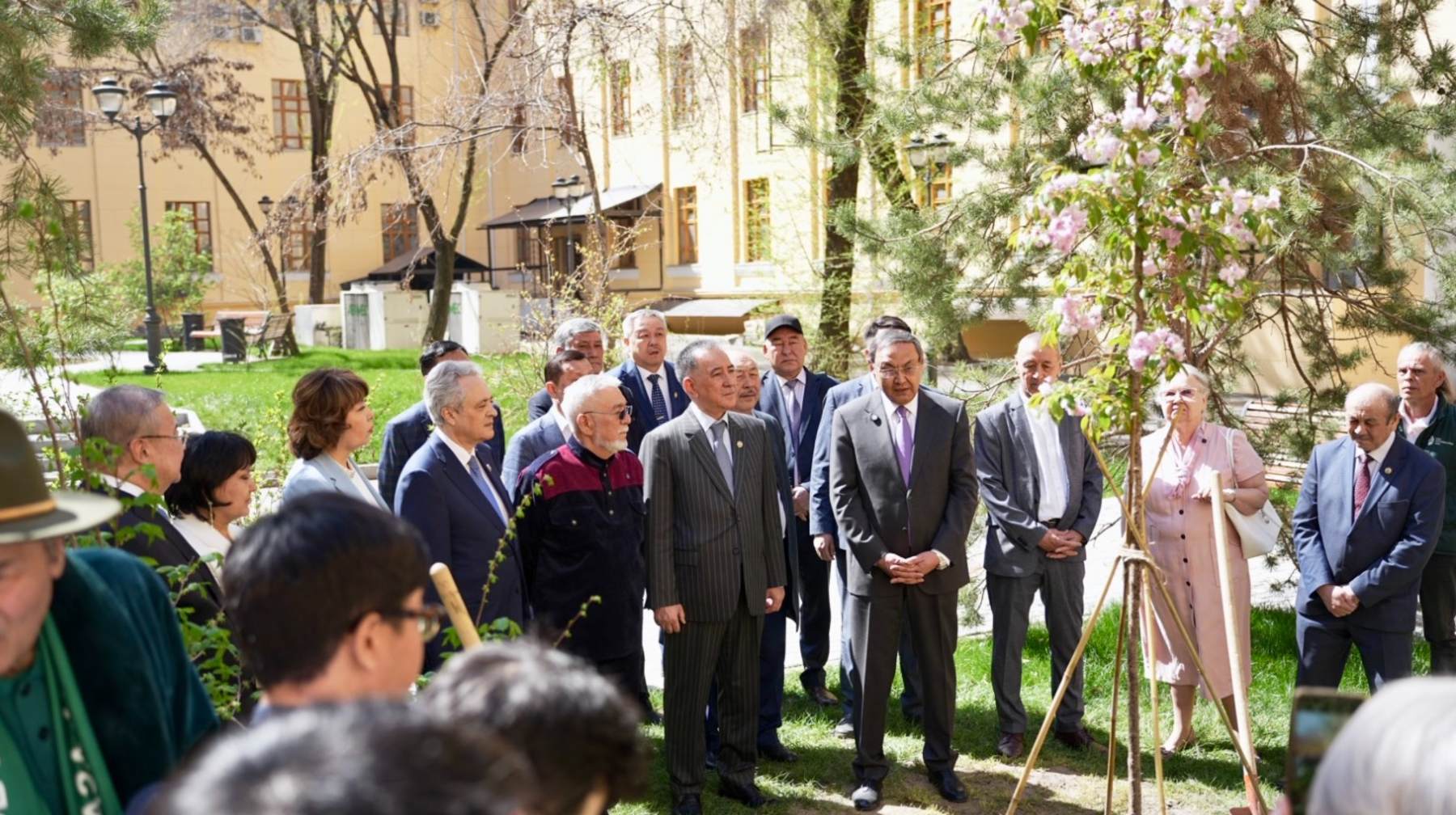 «Сәтбаев сакурасы» қайта гүлдеді