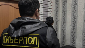 Алматы облысында киберполиция ірі көлемдегі алаяқтықты әшкереледі