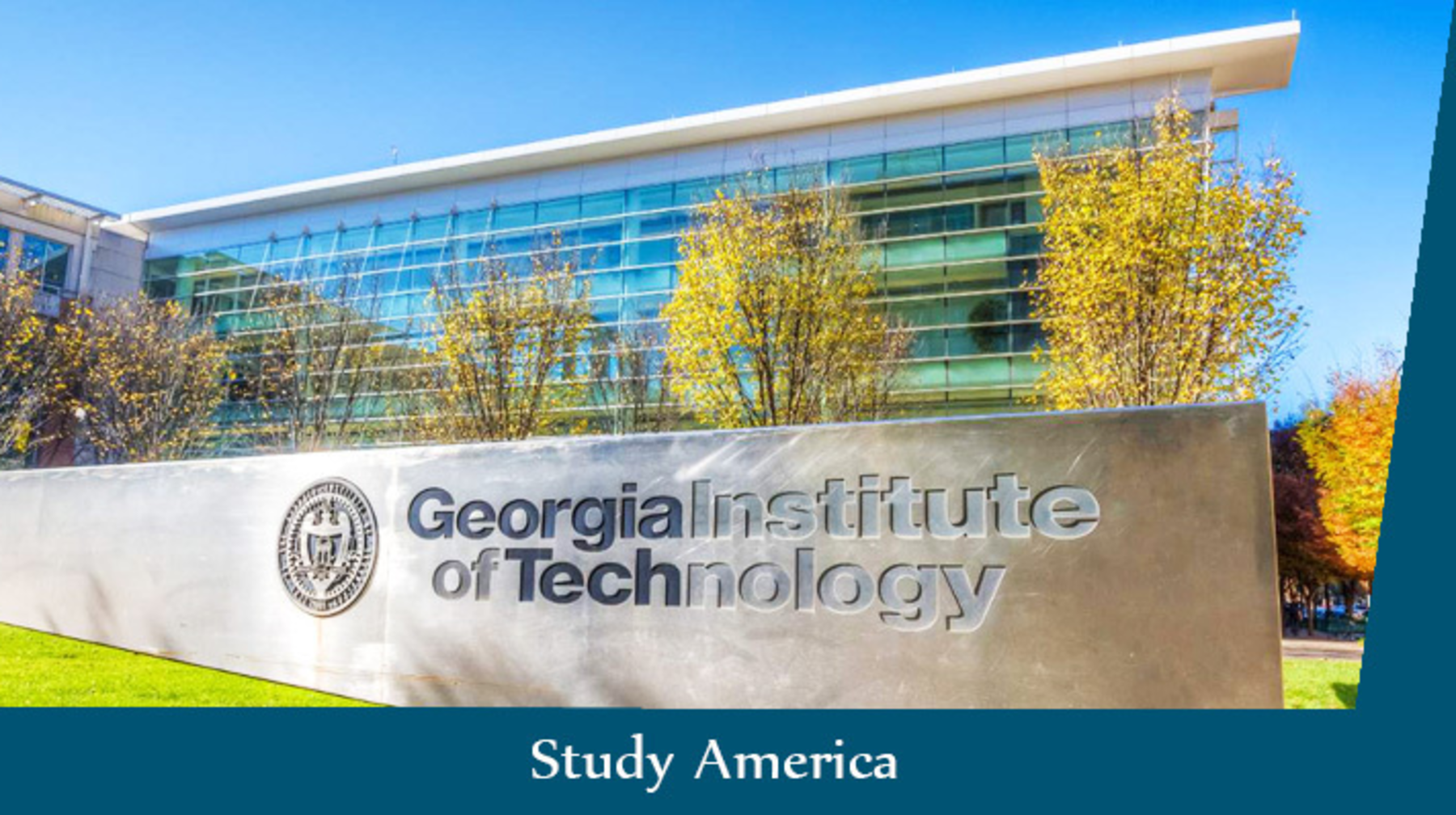 Жасанды интеллект дельфиндермен «тілдесе» бастайды