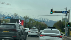 Алматылықтар көлік сақтандырудан көш бастап тұр