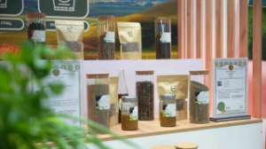 Экологиялық бастамаларға әрбір үшінші қазақстандық қатысты