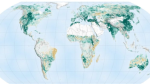 Жасыл желектің көбеюінен де қауіп бар