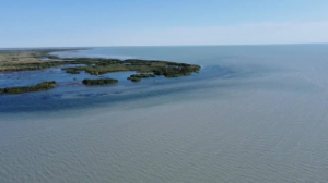 Балқаштың су деңгейі 12 см-ге көтерілді