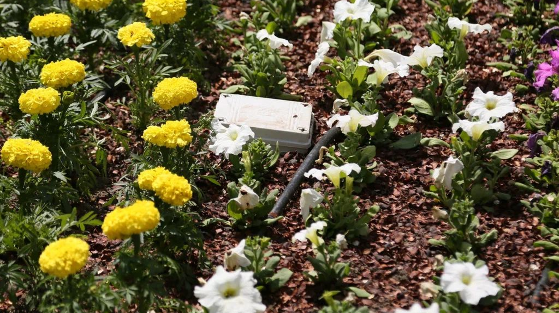 QYZPU СТУДЕНТТЕРІ АВТОМАТТАНДЫРЫЛҒАН СУҒАРУ ЖҮЙЕСІН ОЙЛАП ТАПТЫ