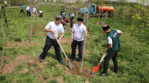 Қоғамды біріктірген экологиялық мәдениет