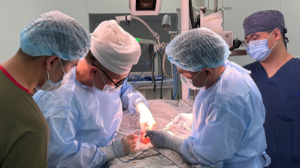 Мойнында үлкен ісік бар жаңа туған нәрестеге ота сәтті жасалды