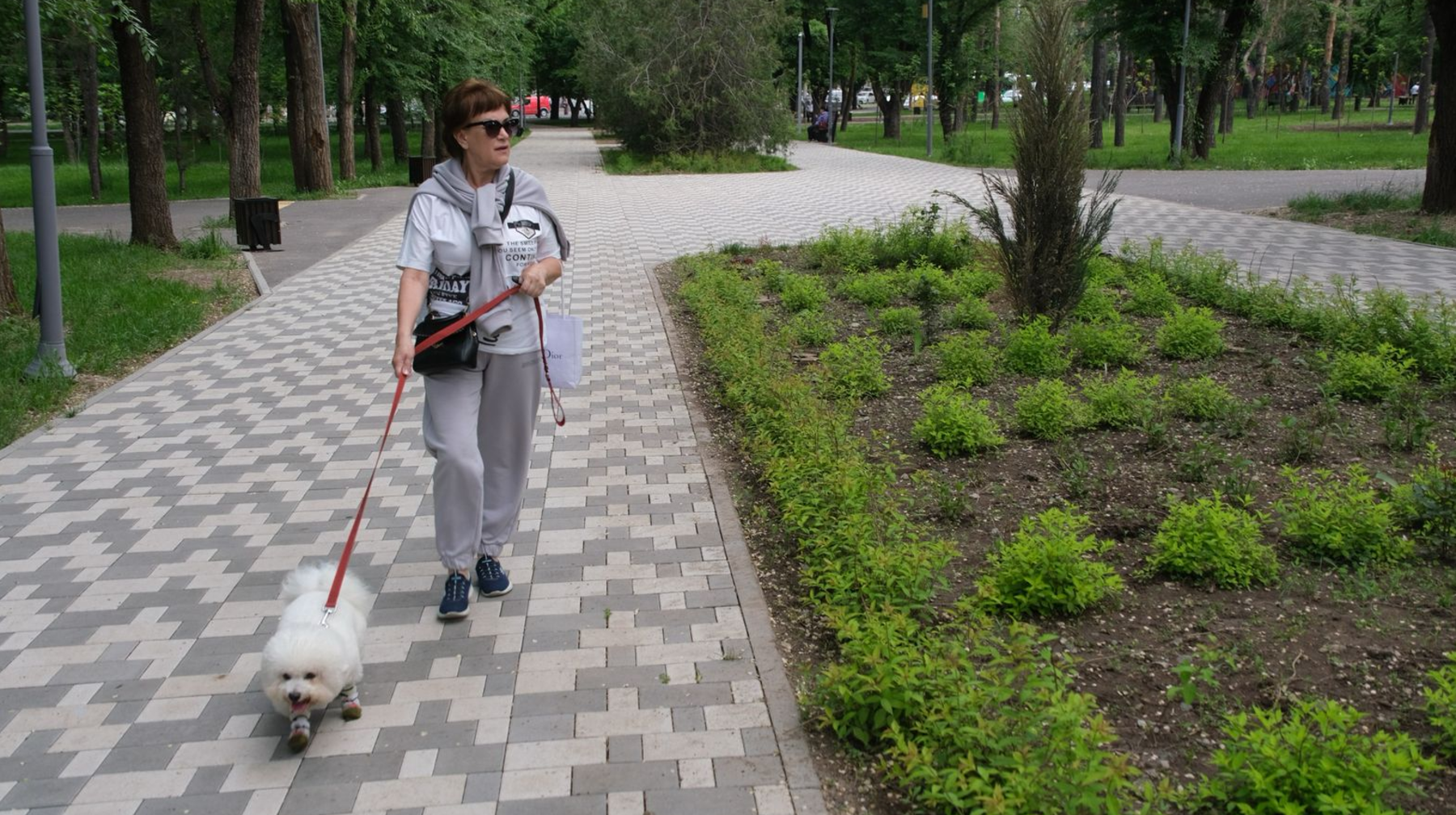 Алматыда үй жануарларының иелері үшін жаңа ережелер қабылданды