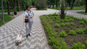 Алматыда үй жануарларының иелері үшін жаңа ережелер қабылданды