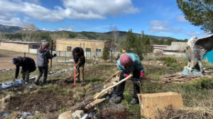 «Таза Қазақстан»:» «Киелі мекен» акциясы аясында 12 тонна қоқыс жиналды