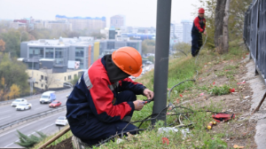 Алматыда шамдар ағаштардың үстінен жарық беруі үшін кронштейндер орнатылып жатыр