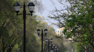 «Алматы Қала Жарық» МКК басшысы Алматыда сыртқы жарықтандыру желілеріне қалай қолдау көрсетілетіні туралы айтып берді