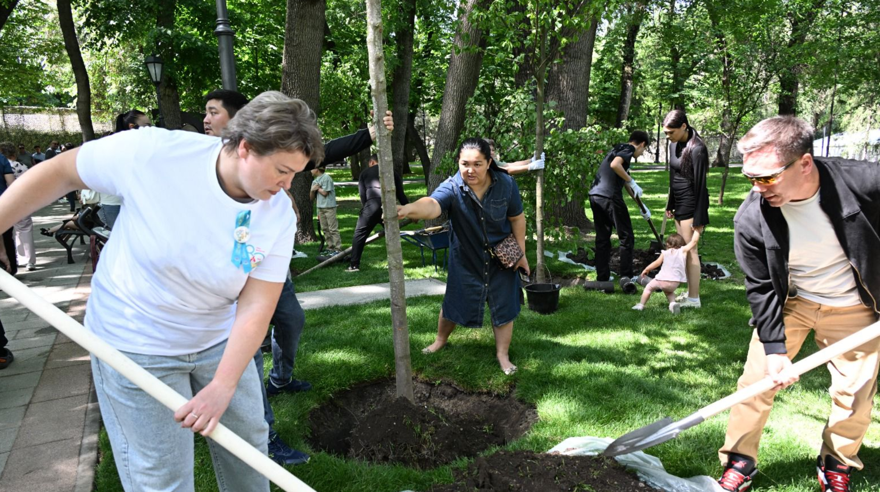 Алматыда Ұлы Отан соғысы ардагерлерінің 8 аллеясына 200 жөке ағашы отырғызылды