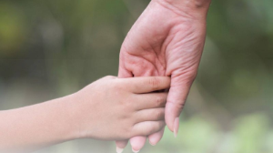 Жетім балаларды тәлімгерлікке алушылар оқу курсынан өтуге міндетті болады