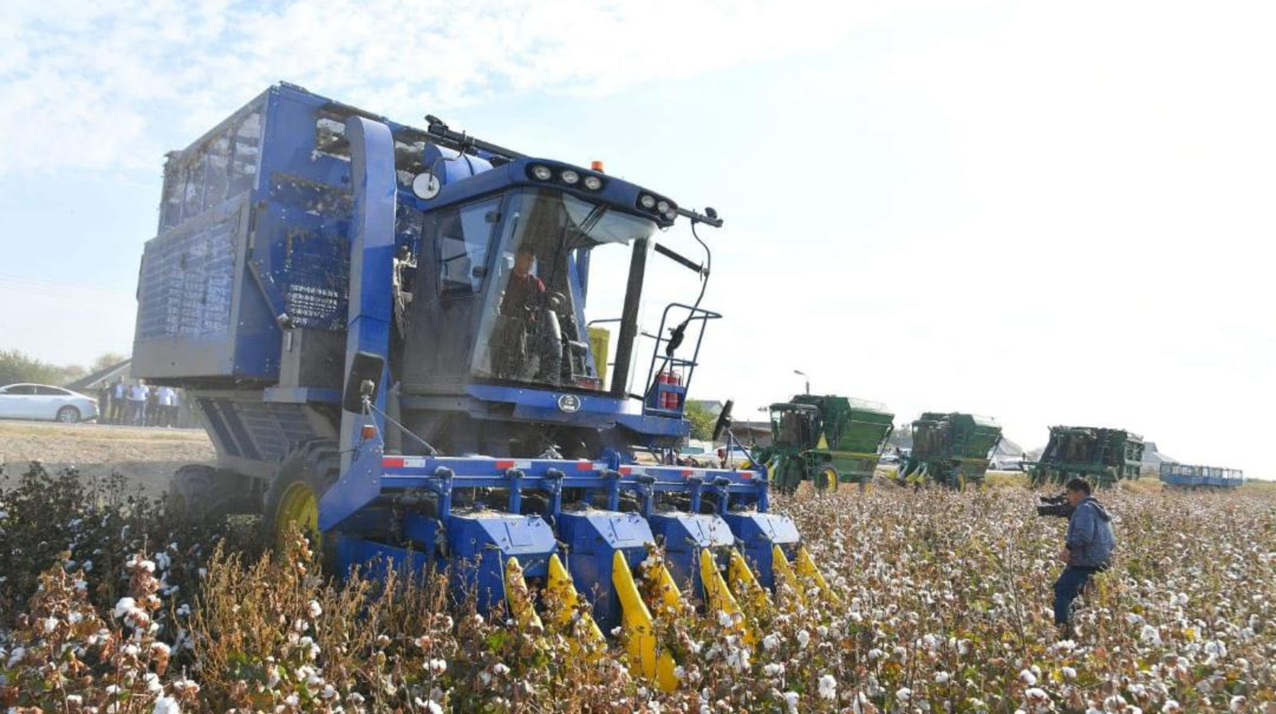 Қазақстанда 25 мыңнан астам агроқұрылым мақта шаруашылығымен айналысады