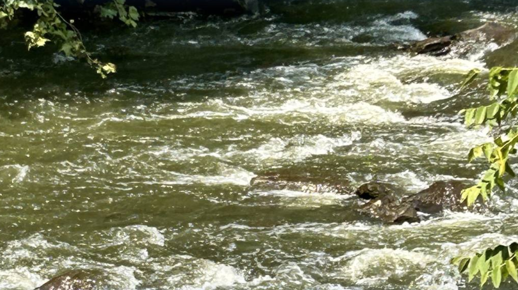 Жамбыл облысының диқандарына былтырғыға қарағанда екі есе көп су берілді