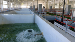 Алматыда Ерменсай тұрғындарын сумен қамтамасыз ету үшін су жинағыш салынады