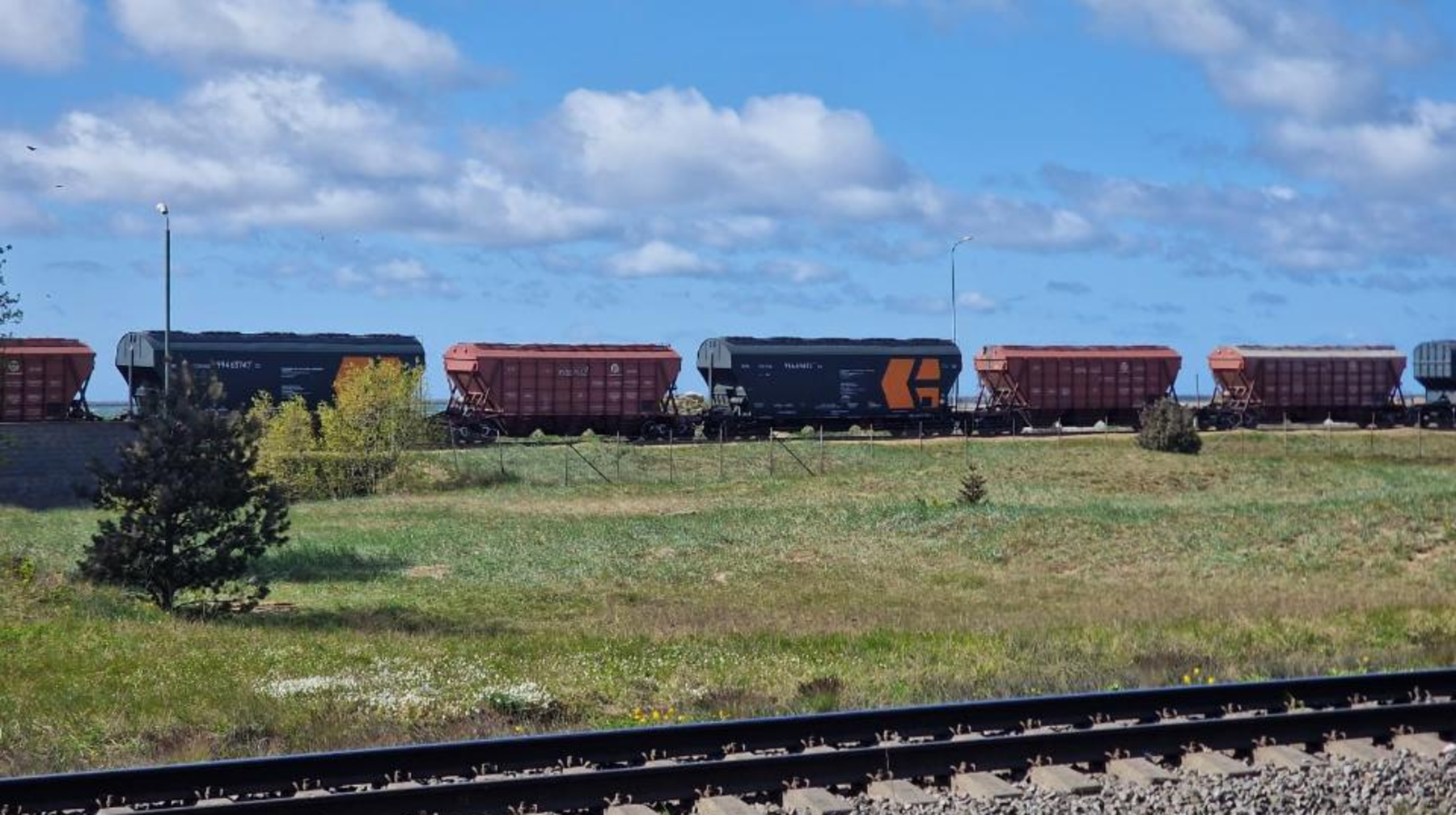Қазақстанның әлемдік нарықта ірі астық экспорттаушы ел ретінде позициясы нығайып келеді
