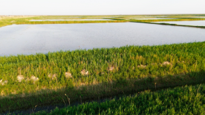 Бос жатқан жерлер мемлекетке қайтарылды