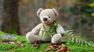 Алматыда жыл сайын 10 шақты бала жоғалады