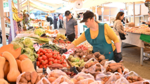 10 мың тонна ауыл шаруашылығы өнімдері сатылды